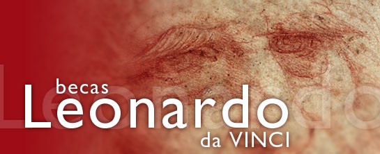 beca leonardo da vinci de hacer prácticas en Europa