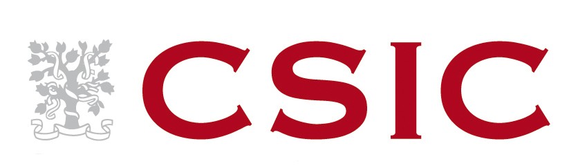 becas csic