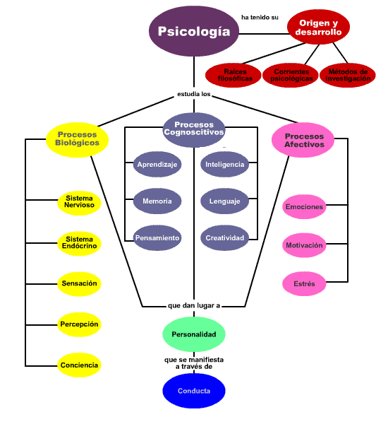 Qué es la psicología, definición, tipos y mapa conceptual (infografía) -  Noticias y Recursos Gratuitos sobre formación, grados, masters, maestrías y  postgraduados