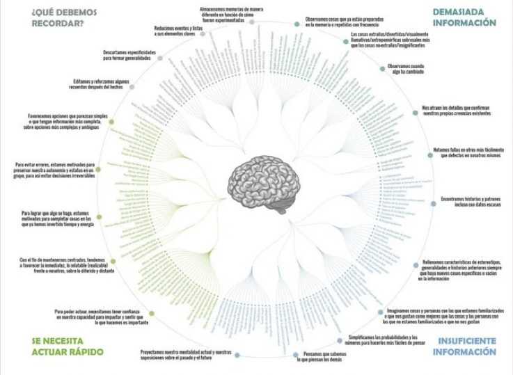 12 Sesgos Cognitivos que Sabotean tus Decisiones: Aprende a Detectarlos y Evitarlos