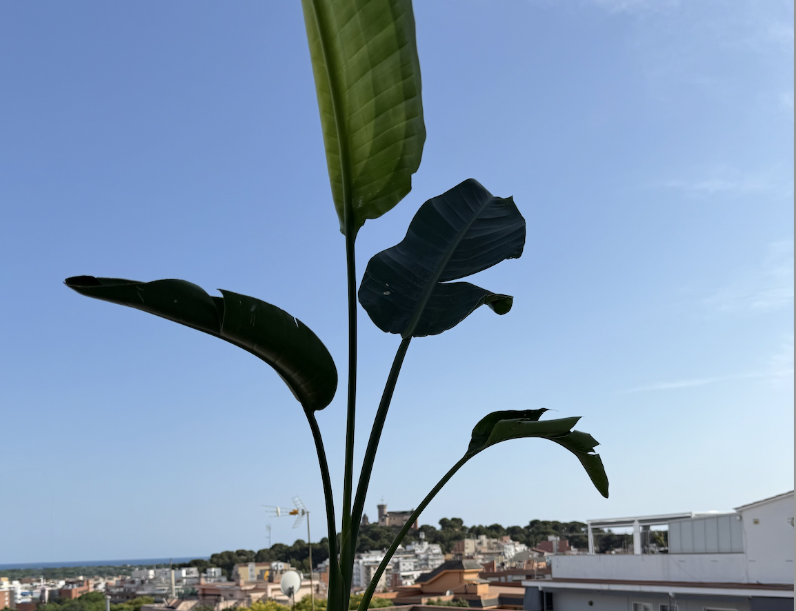 Green Living Coliving Barcelona